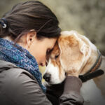 emotional support animals ADA