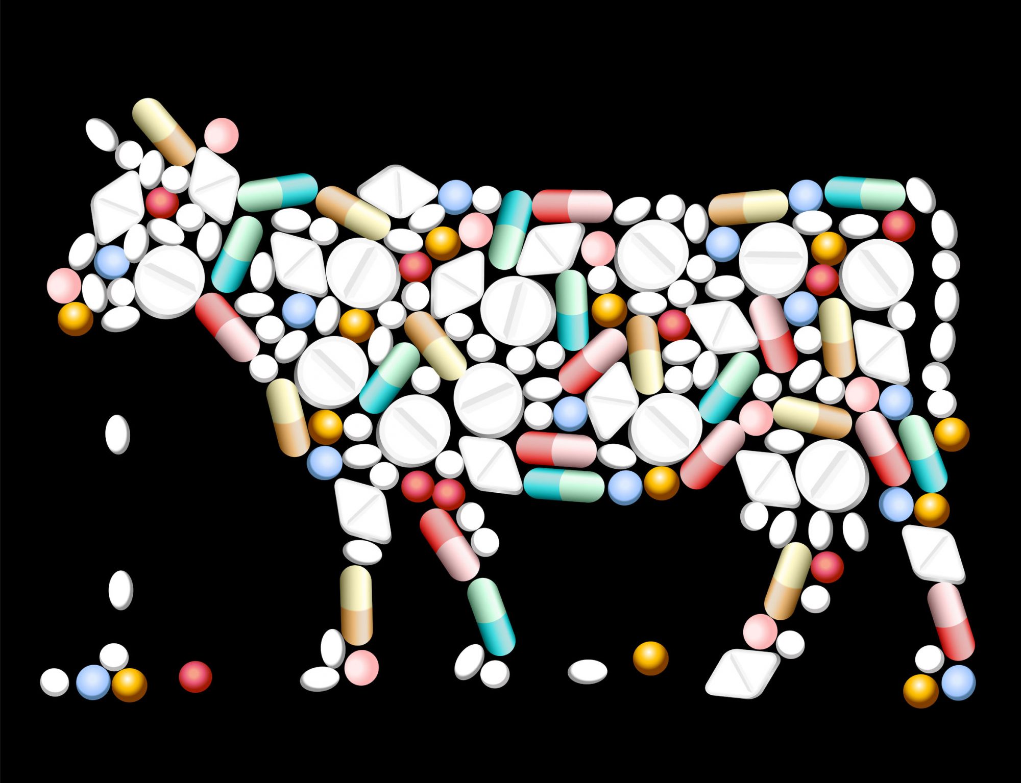 Antibiotics and Farm Animals: New Rules