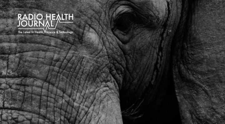 Cancer Suppression: Lessons from Pachyderms