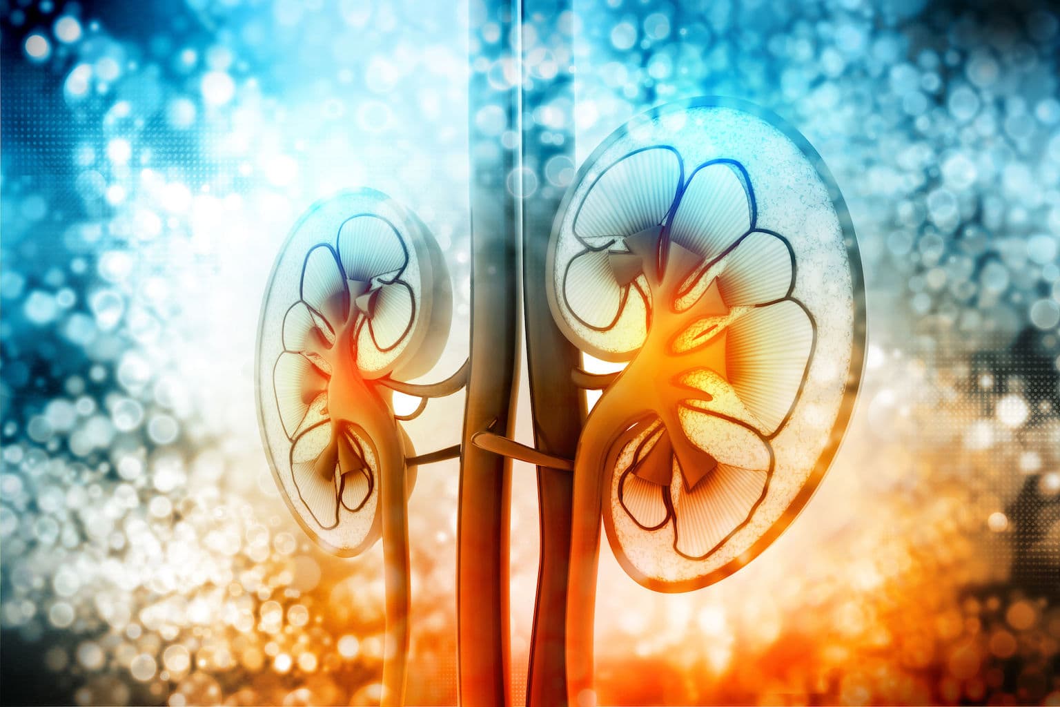 covid and kidney disease